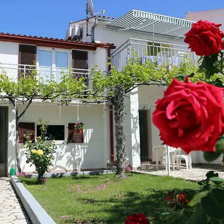 Guest house Meri 3*